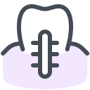 Tooth Implant icon