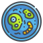 Bacteria icon