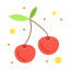 Cherry Tomato icon