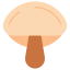 Amanita icon