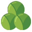 Sprouts icon