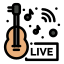 Acoustic Guitar icon