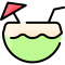 Coconut Drink icon