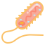 Bacteria icon