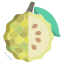 Custard Appel icon