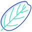 Smoke Tree Leaf icon