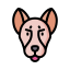 Doberman icon