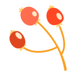 Berries icon