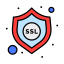 Ssl icon