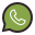 WhatsApp icon