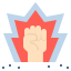 Authority icon