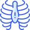 Ribs icon