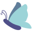 Butterfly icon