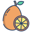 Kumquat icon