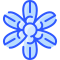 Sisyrinchium icon