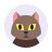 猫简介 icon