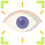 Eye Recognition icon