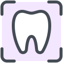 Tooth X-ray icon