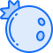 Blueberry icon