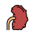 Chronic Pyelonephritis icon