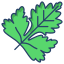 Coriander Leaf icon