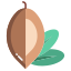 Argan icon