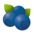 Blueberries icon