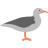 Seagull icon