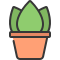 Aglaonema icon