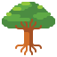 Oak icon