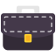 Portfolio icon