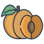 Apricot icon