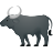 Water Buffalo icon