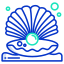 Oyster icon