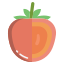 Persimmon icon