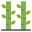 Bamboo icon