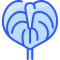 Anthurium icon