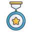 Badge icon