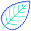 Hornbeam Leaf icon