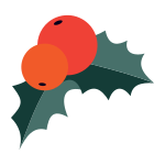 Berries icon