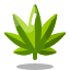 大麻叶 icon