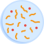 Microbiology icon