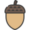 Acorn icon