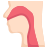 Anatomy icon