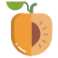 Apricot icon