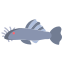 Ancistrus Fish icon