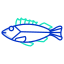 Rock Fish icon