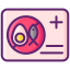 Allergy Card icon