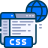 CSS icon