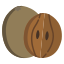 Sapodilla icon